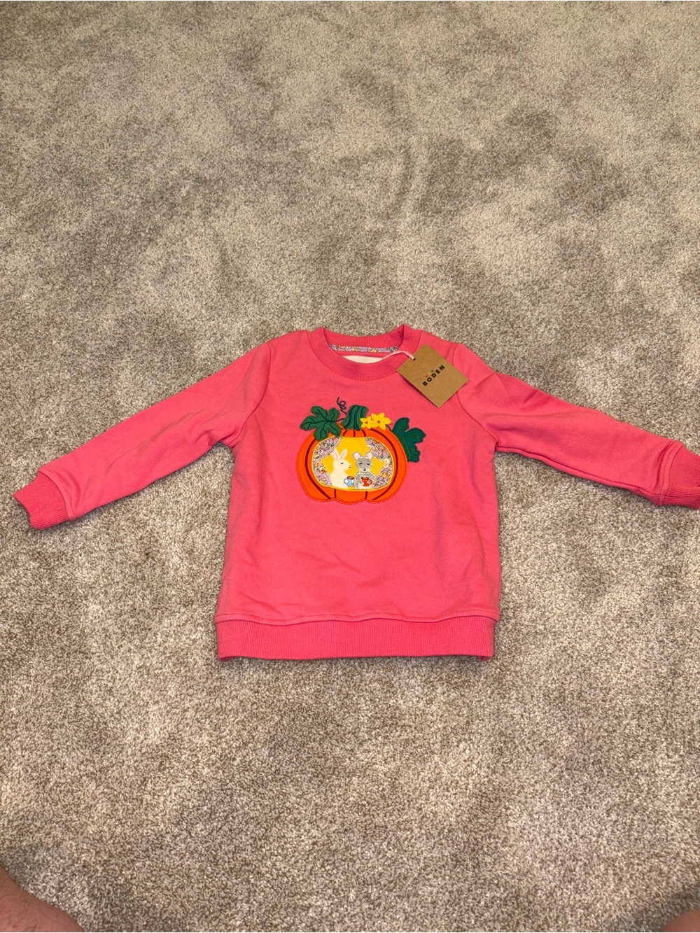 Mini Boden Coral Pink Pumpkin Patch Sweatshirt